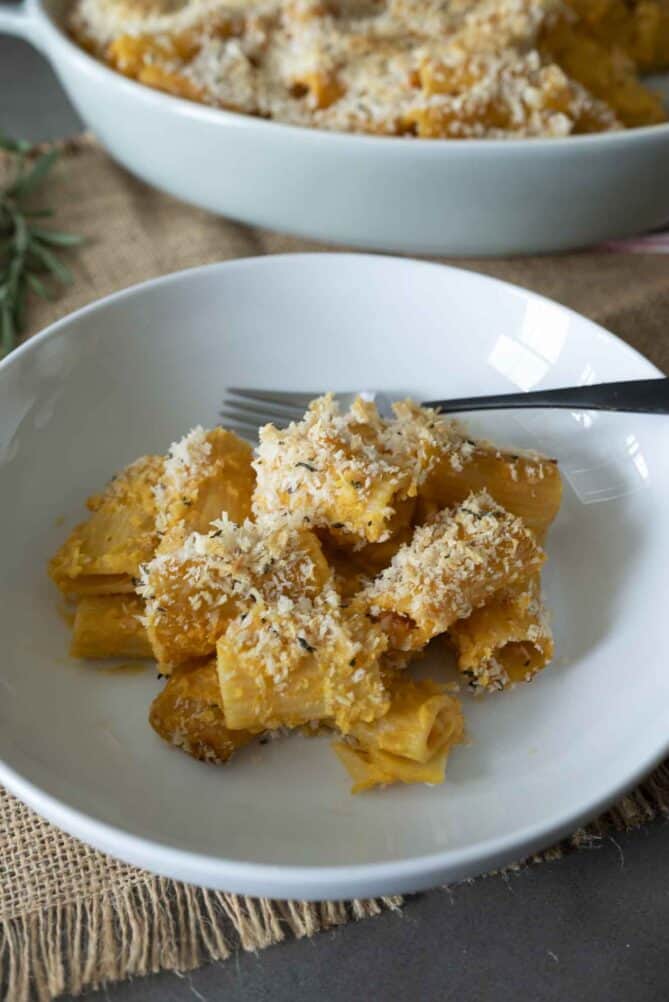 Tube pasta with sauce in a white bowl