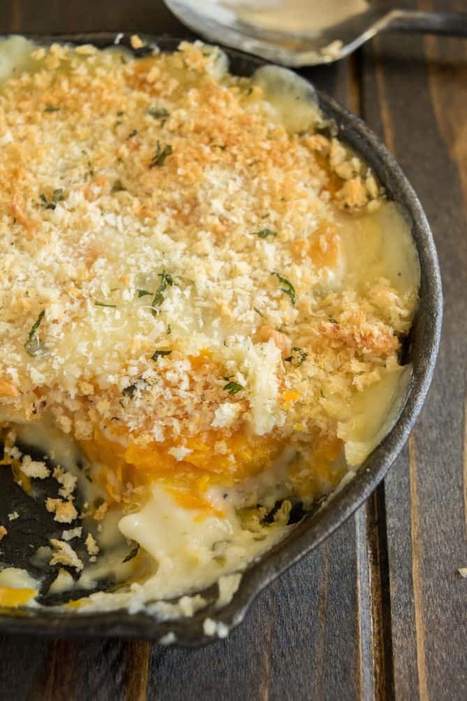 The inside of butternut squash gratin showing the bright orange squash and creamy cheese sauce